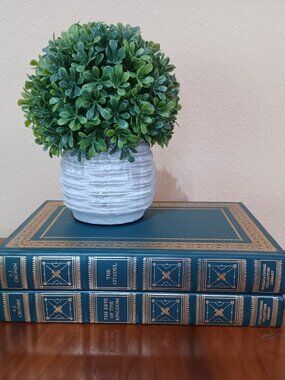 Set of 2 vintage decorator books Green & Gold International Library